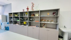 WhatsApp Image 2024-03-03 at 17.31.53 (1)