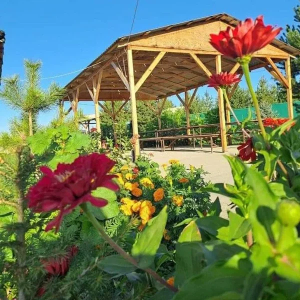 WhatsApp Image 2024-03-04 at 20.44.17