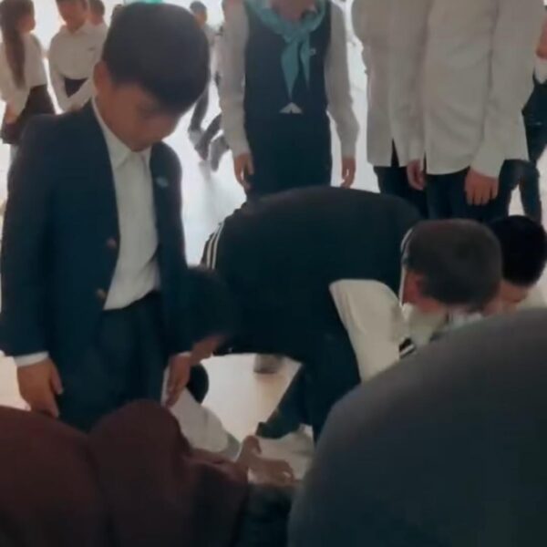 WhatsApp Image 2024-03-06 at 16.54.05