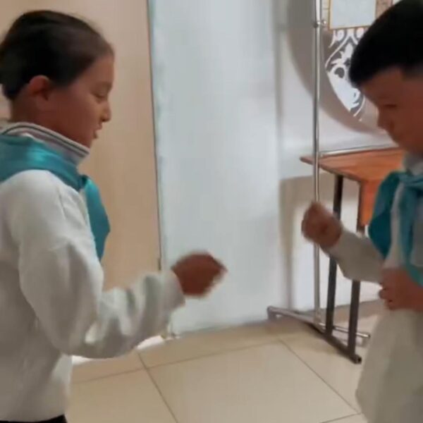 WhatsApp Image 2024-03-06 at 16.54.38