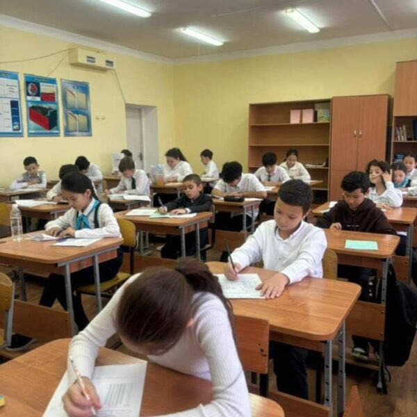 WhatsApp Image 2024-03-07 at 08.23.49