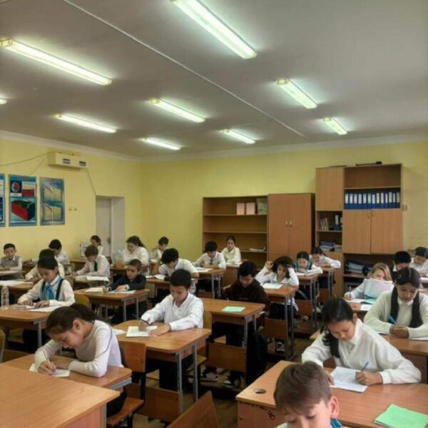 WhatsApp Image 2024-03-07 at 08.24.01