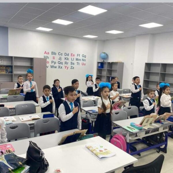 WhatsApp Image 2024-03-10 at 11.40.34