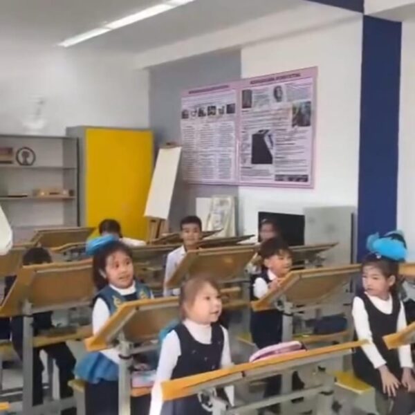 WhatsApp Image 2024-03-10 at 11.52.33