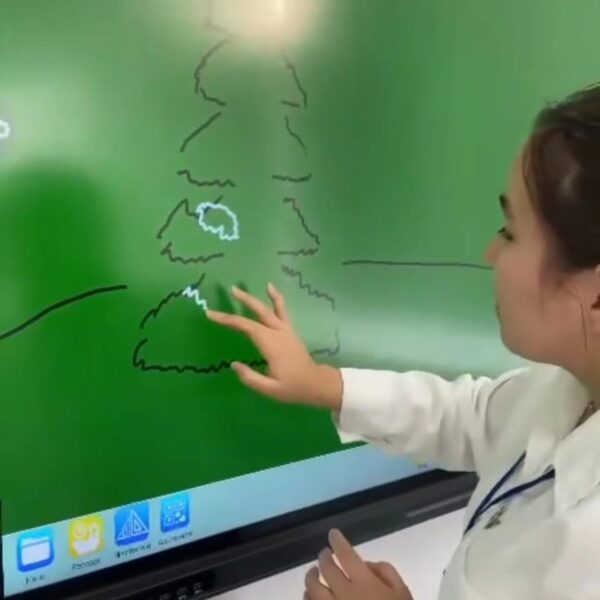 WhatsApp Image 2024-03-10 at 11.52.52