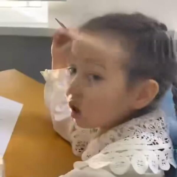 WhatsApp Image 2024-03-10 at 11.53.03