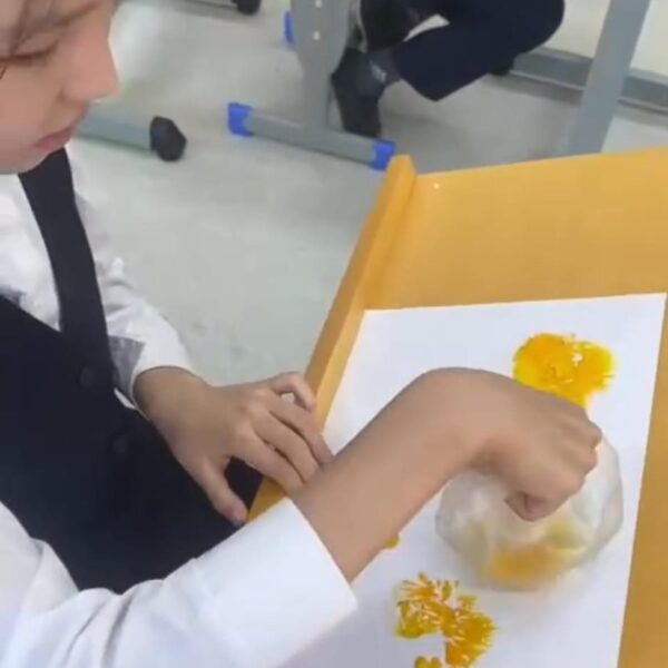 WhatsApp Image 2024-03-10 at 12.01.47