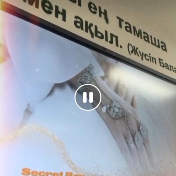 WhatsApp Image 2024-03-10 at 12.08.16