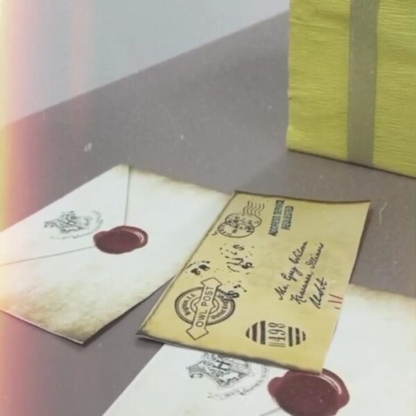 WhatsApp Image 2024-03-10 at 12.08.30