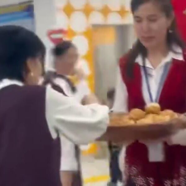 WhatsApp Image 2024-03-10 at 12.24.57