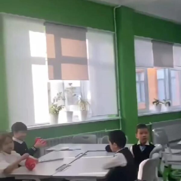 WhatsApp Image 2024-03-10 at 12.43.42