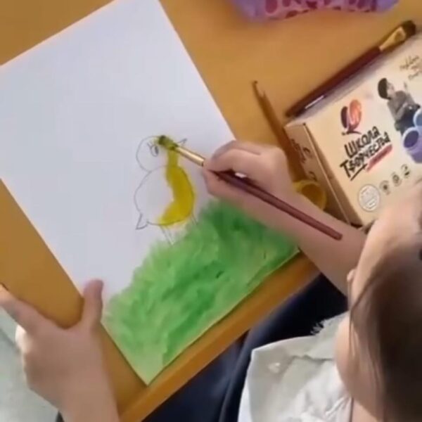 WhatsApp Image 2024-03-10 at 12.53.45