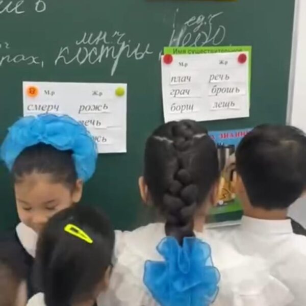 WhatsApp Image 2024-03-10 at 13.01.36