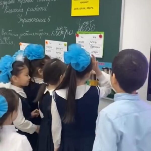 WhatsApp Image 2024-03-10 at 13.02.12