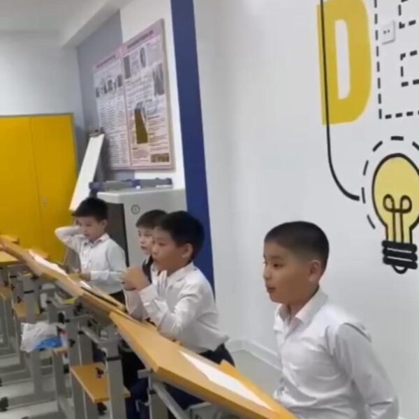 WhatsApp Image 2024-03-10 at 13.12.51