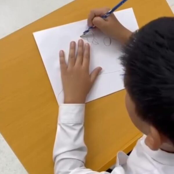 WhatsApp Image 2024-03-10 at 13.13.11