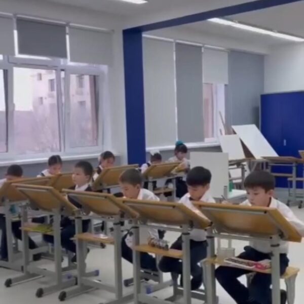 WhatsApp Image 2024-03-10 at 13.13.22