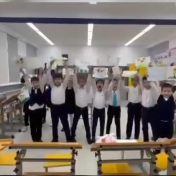 WhatsApp Image 2024-03-10 at 13.13.41